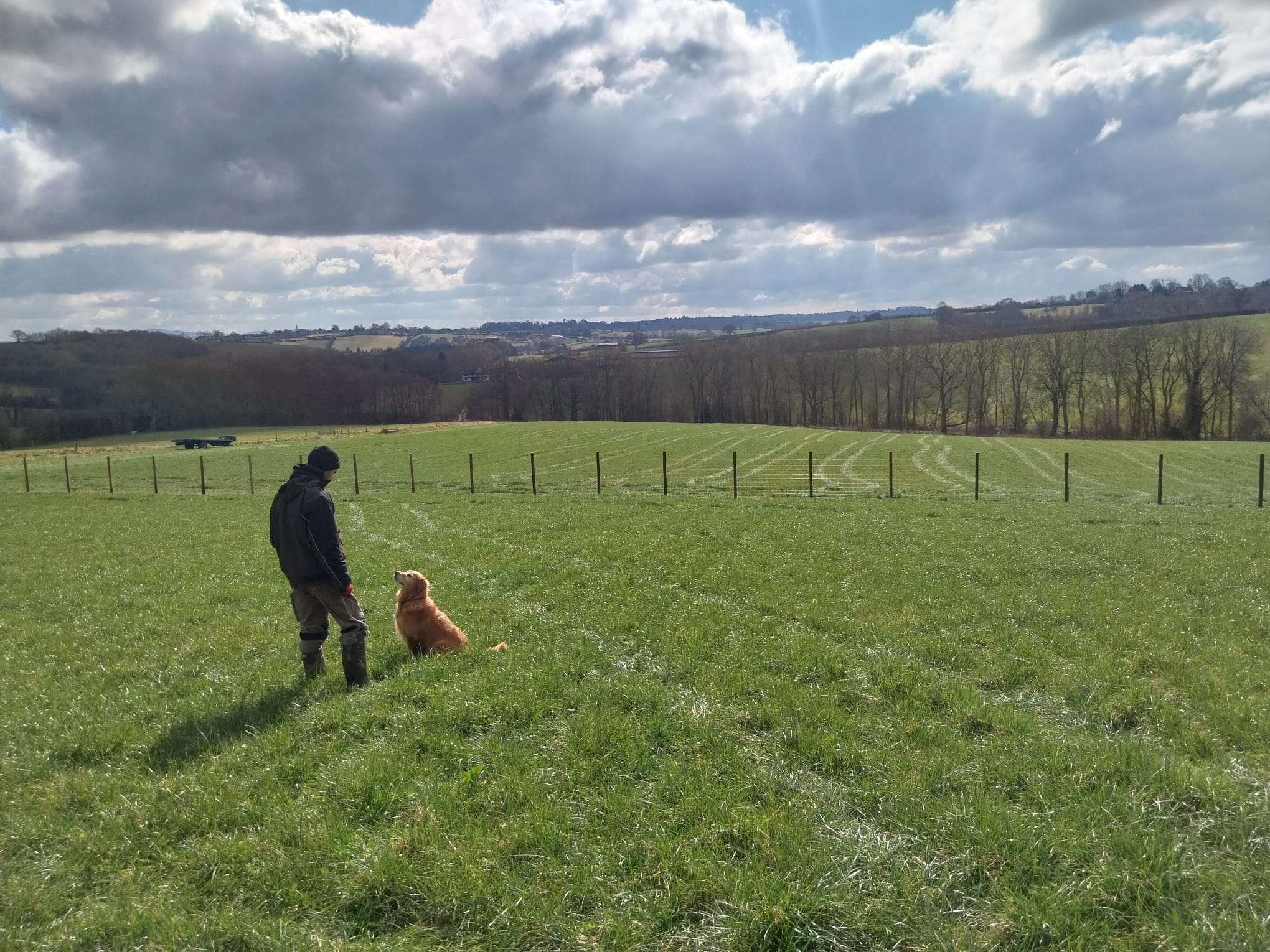 Dog paddock