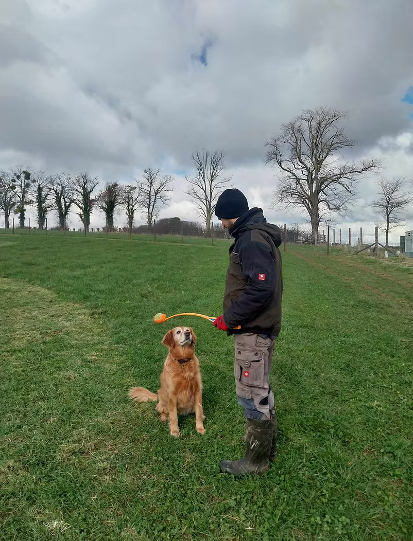 Dog paddock