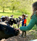 Farm tour
